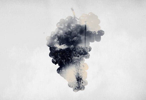 Photo illsutration of a bunch of grapes and a smokey vineyard