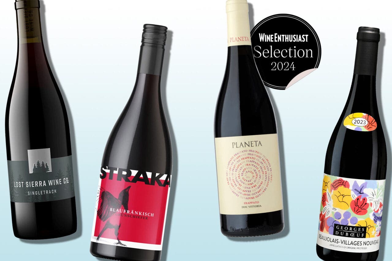 Bottles of chillable red wines on a designed background