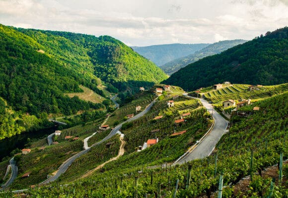 A panoramic view of Galicia ribeira sacra and river miño