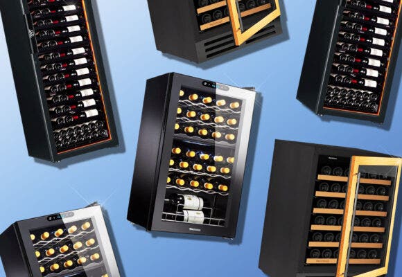 Wine Enthusiast Coolers