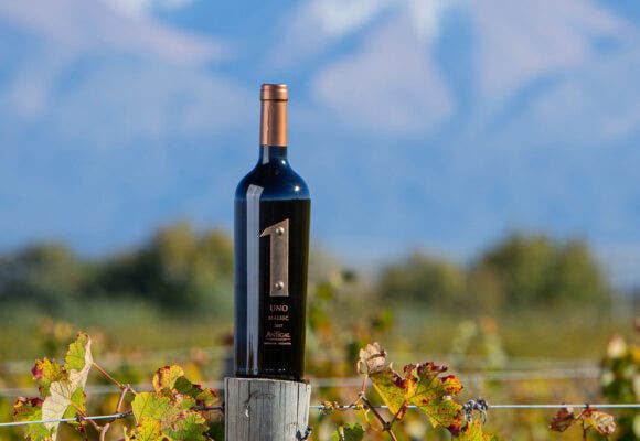 Antigal Winery and Estate