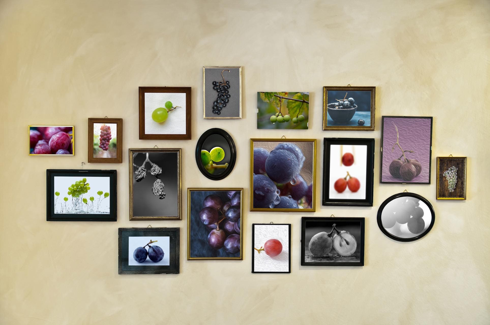 Photos of grapes hanging on a wall like family portraits