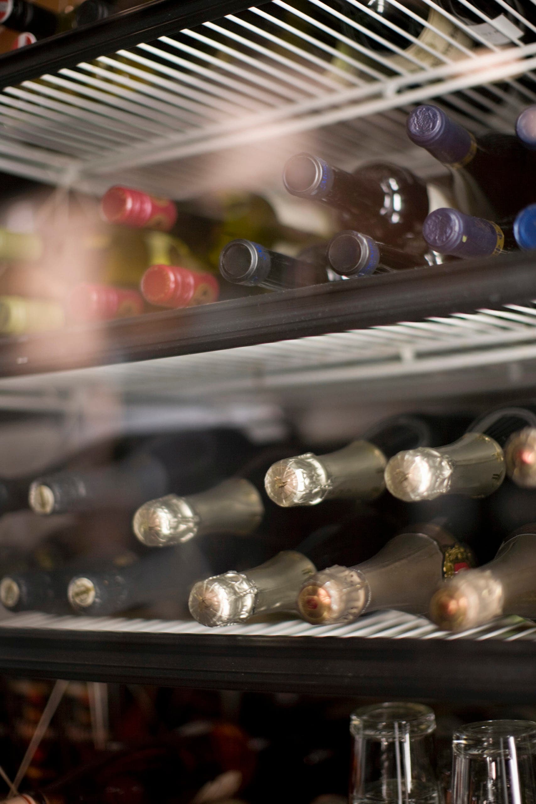 Wines in a fridge